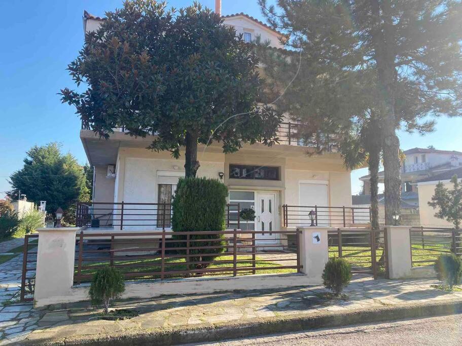 Family'S Home Trikala Exterior foto